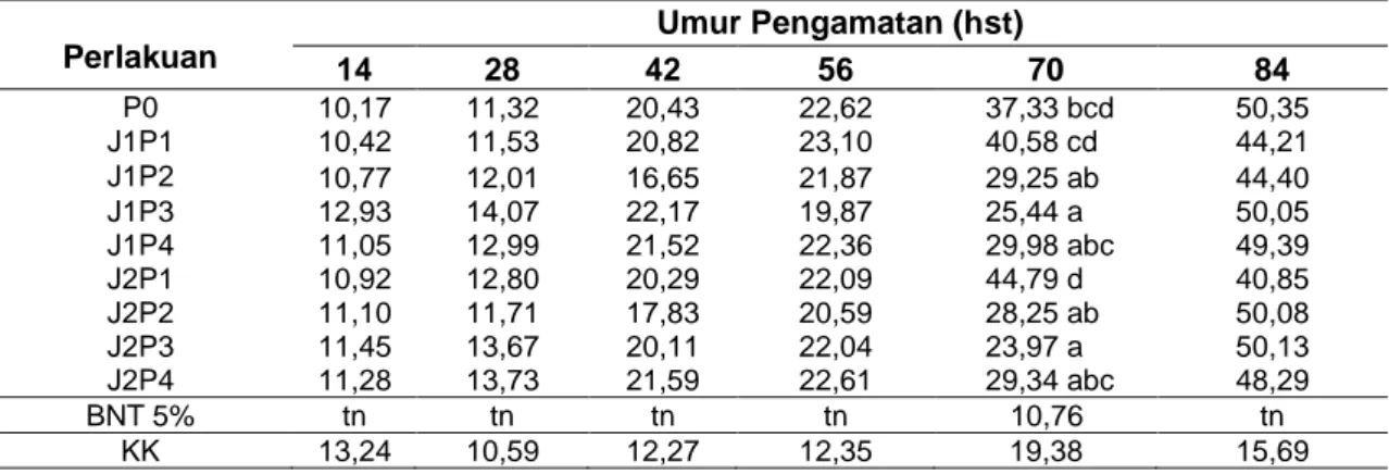 Tabel 1 Rata-rata Tinggi Tanaman Terong Akibat Berbagai Kombinasi Pola Tanam Tumpangsari  dan Dosis Pupuk Kandang Sapi pada Setiap Umur Pengamatan 