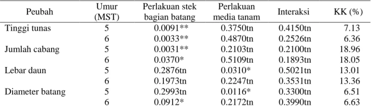Tabel 8. Hasil analisis ragam perumbuhan stek batang pohpohan berumur 4 bulan 