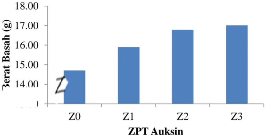 Gambar 10.  Histogram Hubungan Berat Basah Tanaman Lada dengan Perlakuan  ZPT Auksin 13.0014.0015.0016.0017.0018.00 Z0 Z1 Z2 Z3Berat Basah(g)ZPT Auksin