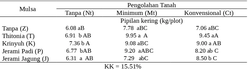 Tabel 7.  Pengaruh pengolahan tanah dan mulsa organik terhadap berat pipilan  jagung padatanah Psamment 