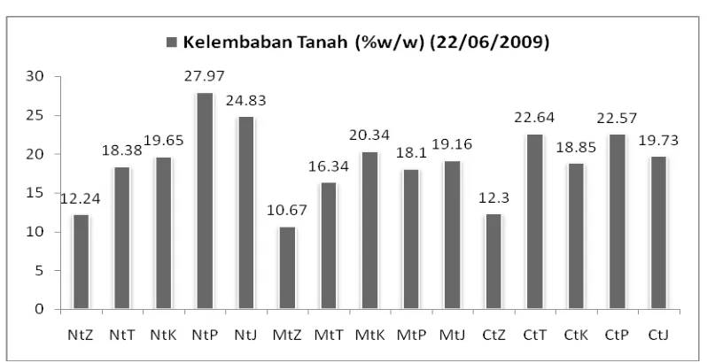 Gambar 2.Gambar 2.  Kelambaban tanah pada berbagai perlakuan Pengolahan Tanah dan Mulsa 