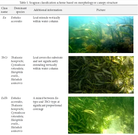 Table 1. Seagrass classiication scheme based on morphology or canopy structure