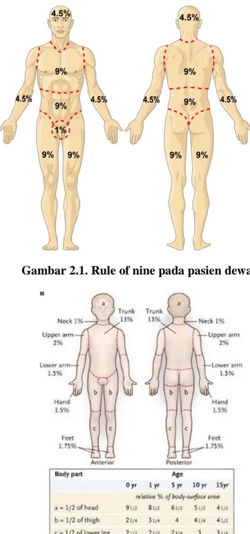 Gambar 2.1. Rule of nine pada pasien dewasa 