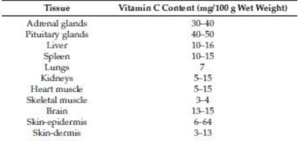 Tabel 2.1.  Kandungan vitamin C pada kulit manusia dan perbandingannya  dengan jaringan lain 