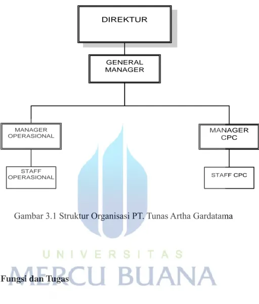 Gambar 3.1 Struktur Organisasi PT. Tunas Artha Gardatama 
