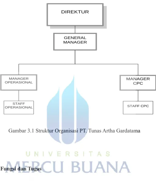 Gambar 3.1 Struktur Organisasi PT. Tunas Artha Gardatama 