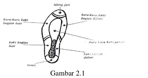 Gambar 2.1  Nama bagian kaki untuk menendang bola (Toto Subroto, dkk 2008:8. 35) 
