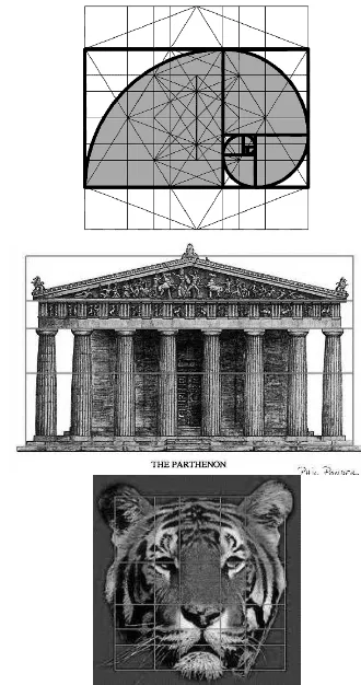 Figure 8. Divine Proportion can be traced both in built and natural forms (Source: www.phinest.com) 
