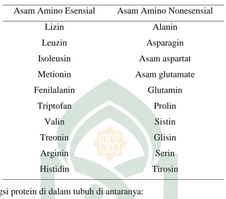Tabel 2. 1 asam amino esensial dan asam amino nonesensial  Asam Amino Esensial  Asam Amino Nonesensial 