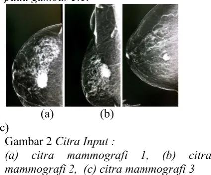Gambar 2 Citra Input :  
