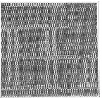 Gambar 12. Perbesaran wajah de Vredestein