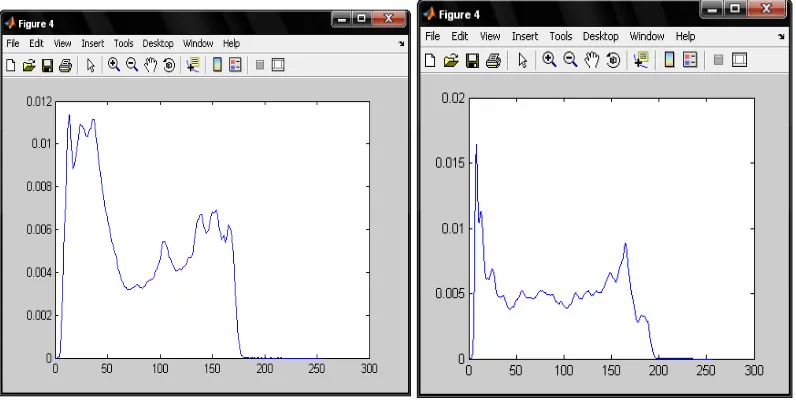 Gambar 10. Histogram citra gambar 4 