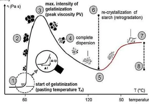 Gambar 2.2 Pengaruh Temperatur Gelatinisasi Terhadap Viskositas Pati [40] 