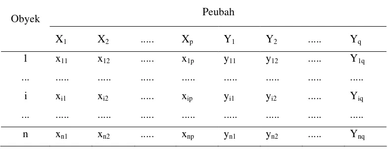 Tabel  1.  Matriks Data Analisis Korelasi Kanonik 