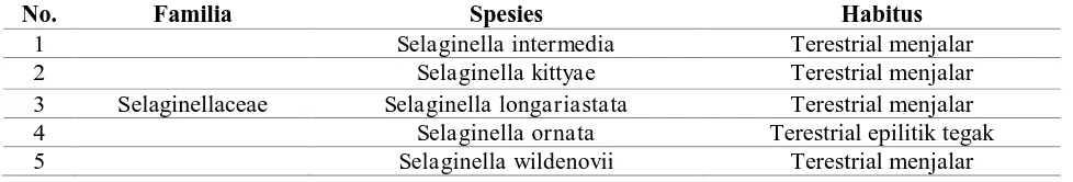 Tabel 1. Jenis Selaginella di Hutan Lindung Aek Nauli Parapat 