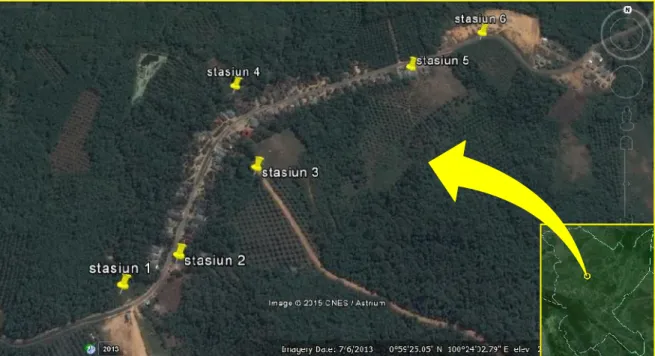 Gambar 1. Lokasi  penelitian  di  dusun  III  desa  Rambah  Hilir  Tengah  Kecamatan  Rambah  Hilir Kabupaten Rokan Hulu (Sumber: Google earth, 2015).