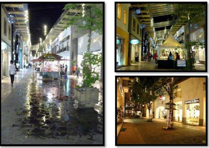 Gambar II.7 Paris Van Java Mall