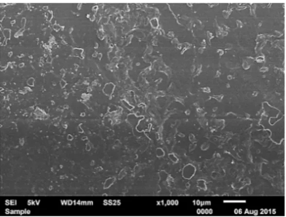 Gambar  17  Hasil  Uji  SEM  pada  Membran  Ultrafiltrasi  Polysulfone  dengan  Umpan  Campuran  Kaolin  10 mg/L dan Sodium  Alginat 50  mg/L  pada  Larutan Garam 30,000 mg NaCl/L 