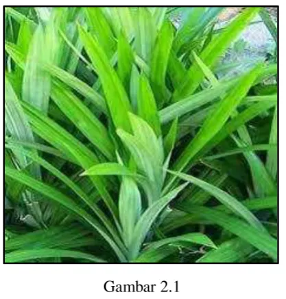 Gambar 2.1  