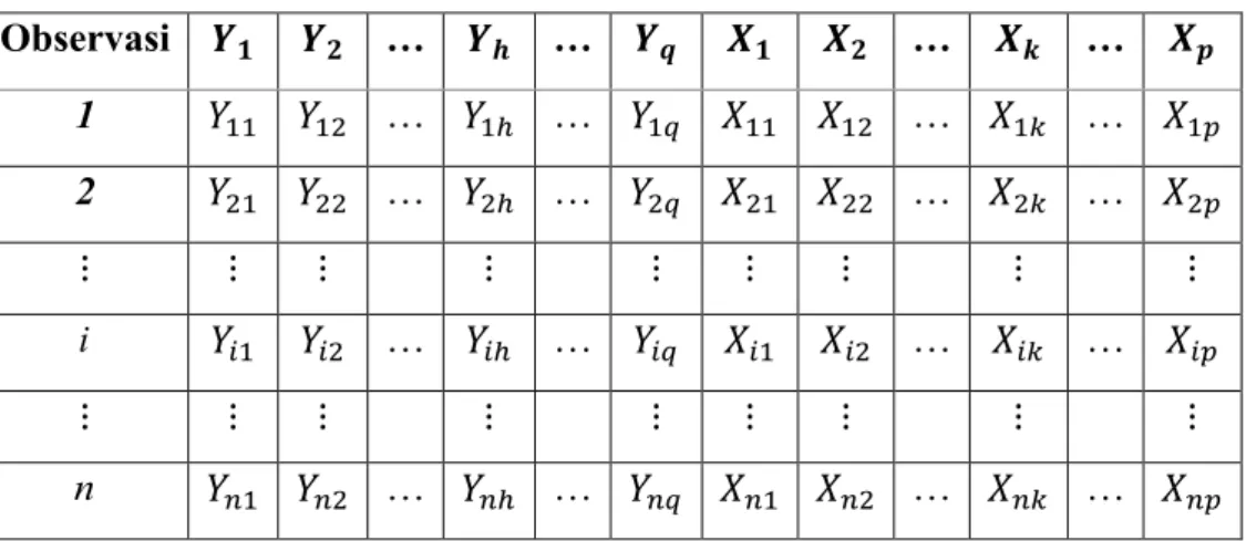 Tabel 2.1 Struktur Data Regresi Multivariat 