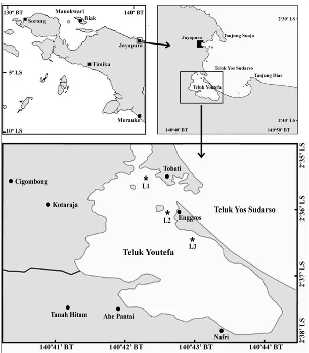 Gambar 1. Lokasi Penelitian di Teluk Youtefa Jayapura Papua 