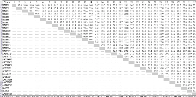 Tabel 7 Matrik genetic identity (%) hasil dari an analisis pensejajaran sekuen prediksi asam amino Musa RGA dan proteotein R mengguna  kan ClustalW2 