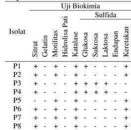 Tabel 4. Karakter Morfologi Koloni Dan Sel Bakteri Penghasil IAA 