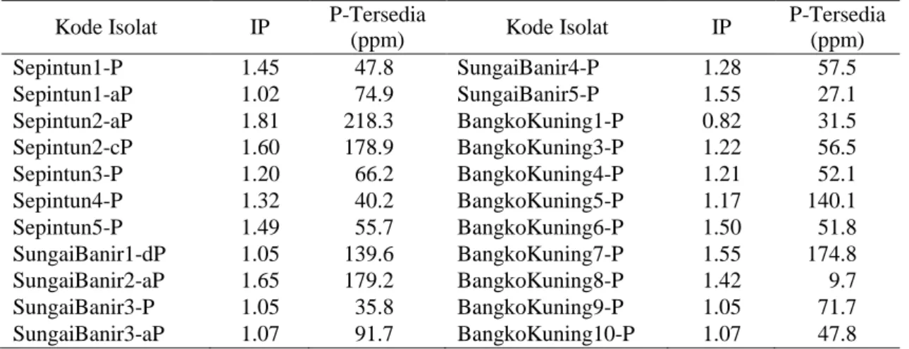 Tabel 2. Indeks pelarutan (IP) dan P-tersedia bakteri pelarut fosfat  Kode Isolat  IP  P-Tersedia 