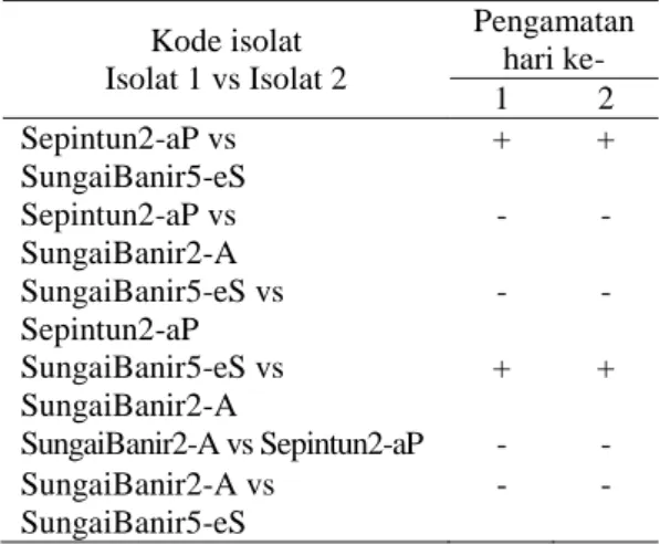 Tabel  5. Hasil uji  total bakteri pada inokulum  yang akan diberikan pada tanah.  Jenis Isolat  Jumlah CFU/ml  SungaiBanir2-A (A)  2.5 x 10 5  Sepintun2-aP (F)  9.0 x 10 7  SungaiBanir5-eS (S)  1.5 x 10 7  Campuran ( C)  9.5 x 10 7 