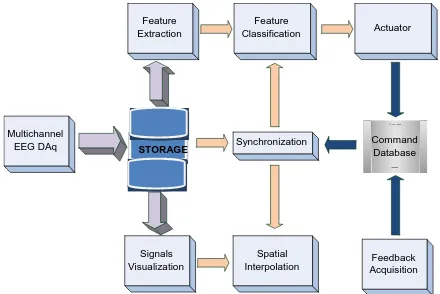 Figure 1. High level data abstraction of a BCI framework. 