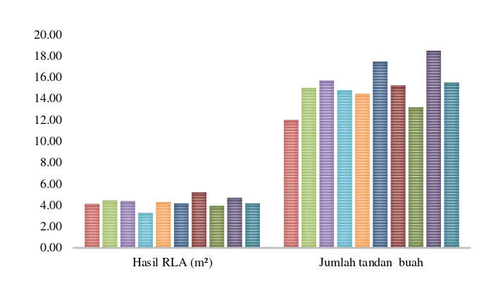 Gambar 7 Grafik korelasi hasil relative leaf area (RLA) dan jumlah tandan buah 