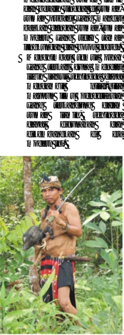 Gambar 8. Suku Dayak  pulang berburu 