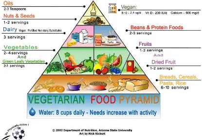 Gambar 2.1.  Piramida Makanan untuk Kelompok Vegetarian 