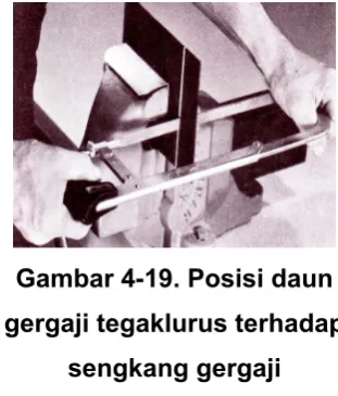 Gambar 4-19. Posisi daun