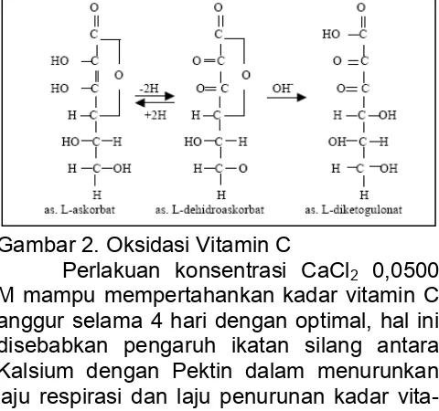 Gambar 2. Oksidasi Vitamin C  M mampu mempertahankan kadar vitamin C anggur selama 4 hari dengan optimal, hal ini disebabkan pengaruh ikatan silang antara Kalsium dengan Pektin dalam menurunkan laju respirasi dan laju penurunan kadar vita-min C dapat beker