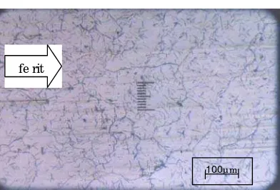 Gambar 1. Struktur mikro paduan Fe-1,52Al 