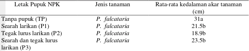 Tabel 4 Hasil uji Duncan pengaruh letak pemberian pupuk NPK terhadap kedalaman akar tanaman sengon 