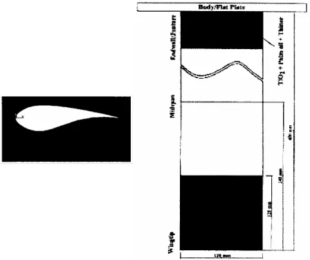 Gambar 7. Daerah Visualisasi pada Airfoil Datar dan Plat  