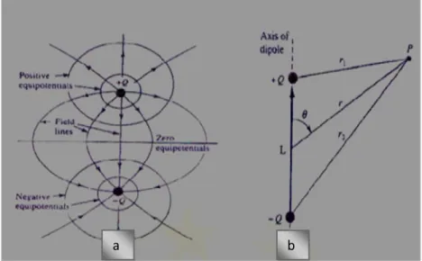 Gambar 2.2 Kontour Garis Medan Elektrik (a) dan (b) Momen Dipole.