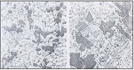 Gambar 1. Paduan Aluminium-Silikon hypoeutectoid danhypereutectoid [1]