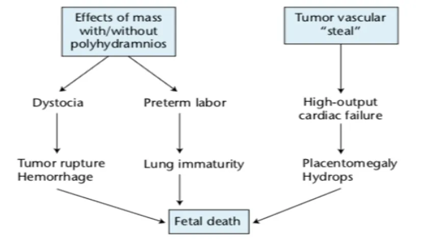 Gambar  3  Algoritma prenatal manajemen Teratoma  sakrokoksigeal