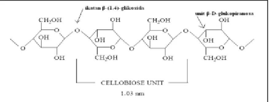 Gambar II.1 Struktur selulosa (Ibrahim, 1998). 