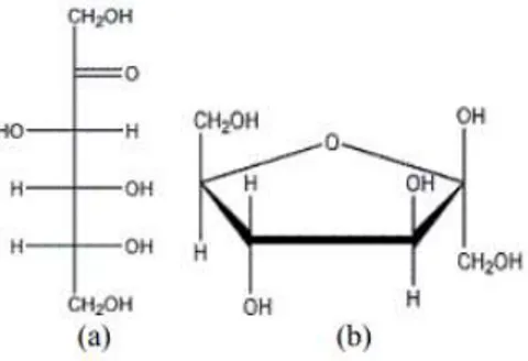 Gambar II.6. a). Struktur D-fruktosa rantai lurus, b).Struktur D- D-fruktosa bentuk cincin 