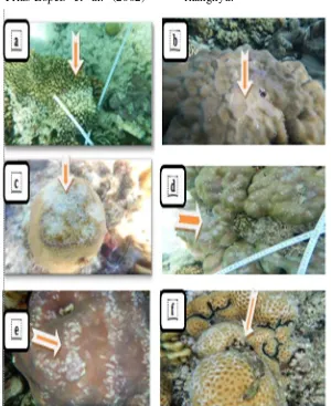 Gambar 2. Jenis penyakit karang yang ditemukan di Lokasi Penelitian [a. White Syndromes (WS); b