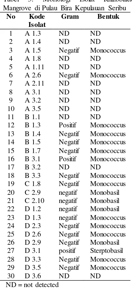Tabel 3. Morfologi Isolat Rhizobakteri Mangrove di Pulau Bira Kepulauan Seribu 