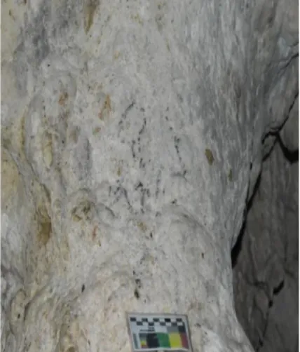 Foto 2. 4 Motif antropomorfik gua Lida Ajer  (Sumber: Yola Pebi Daniska, 2019) 