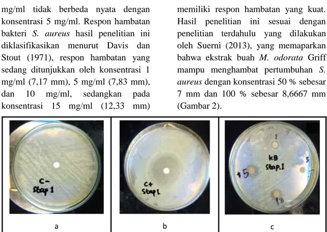 Gambar 2.  Hasil uji ekstrak etanol kulit batang M. odorata Griff terhadap bakteri S.  aureu ATCC   25923:  a
