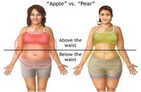 Gambar 2.1 Perbandingan Apple Shape Body dengan Pear Shape Body (Paramitha, 2013) 
