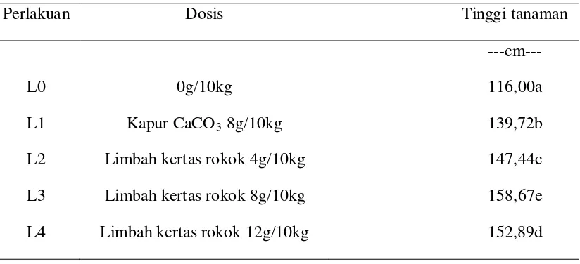 Tabel 6. Tinggi tanaman jagung akibat pemberian limbah padat pabrik kertas rokok di tanah ultisol 
