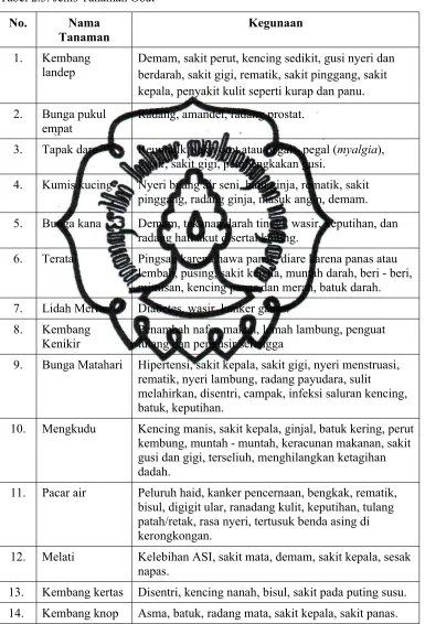 Tabel 2.5. Jenis Tanaman Obat